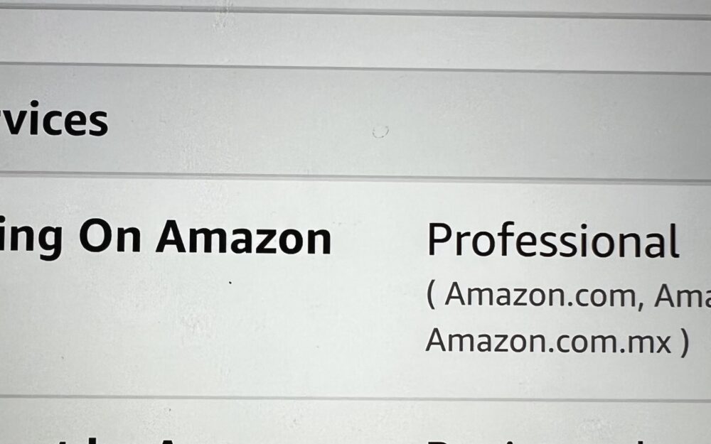 Professional versus Individual Selling Plan on Amazon Comparison